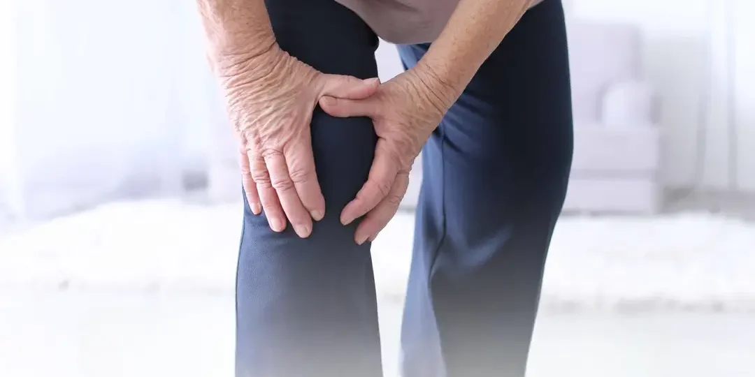 Viscosupplementation